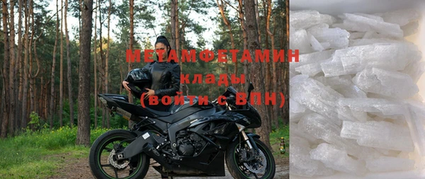 гидра Белокуриха