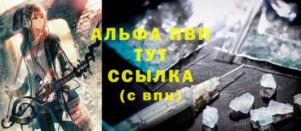 гидра Белокуриха