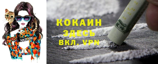 гидра Белокуриха