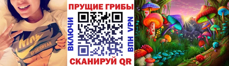 продажа наркотиков  hydra ссылки  Галлюциногенные грибы мухоморы  Гагарин 